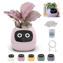 Load image into Gallery viewer, momo™ - Smart Planter