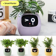 Load image into Gallery viewer, momo™ - Smart Planter