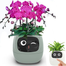 Load image into Gallery viewer, momo™ - Smart Planter