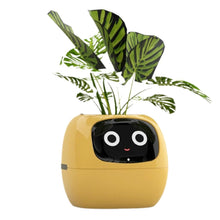 Load image into Gallery viewer, momo™ - Smart Planter
