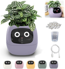Load image into Gallery viewer, momo™ - Smart Planter
