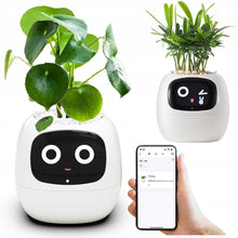 Load image into Gallery viewer, momo™ - Smart Planter
