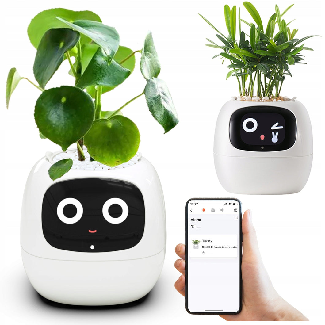 momo™ - Smart Planter